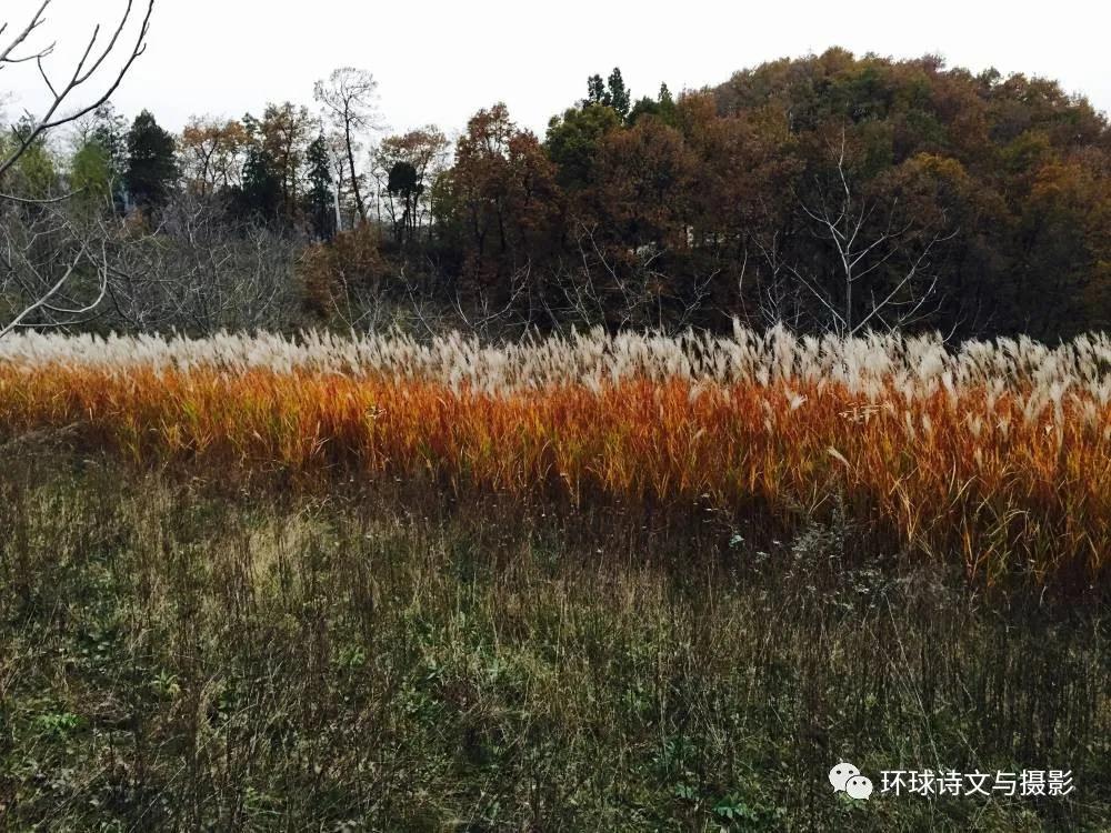 1614237421114057.jpg 圖片17.jpg