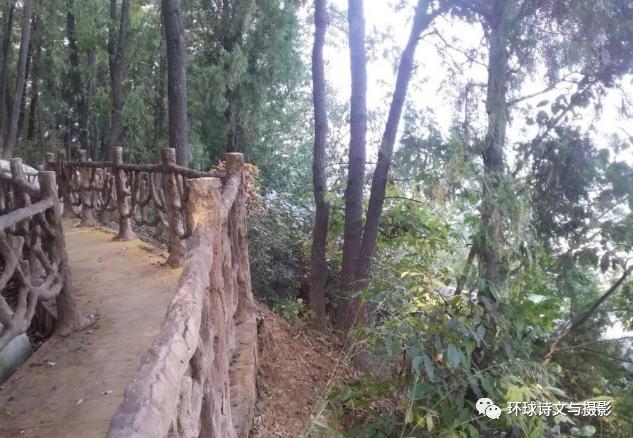 1614237860148538.jpg 圖片22.jpg