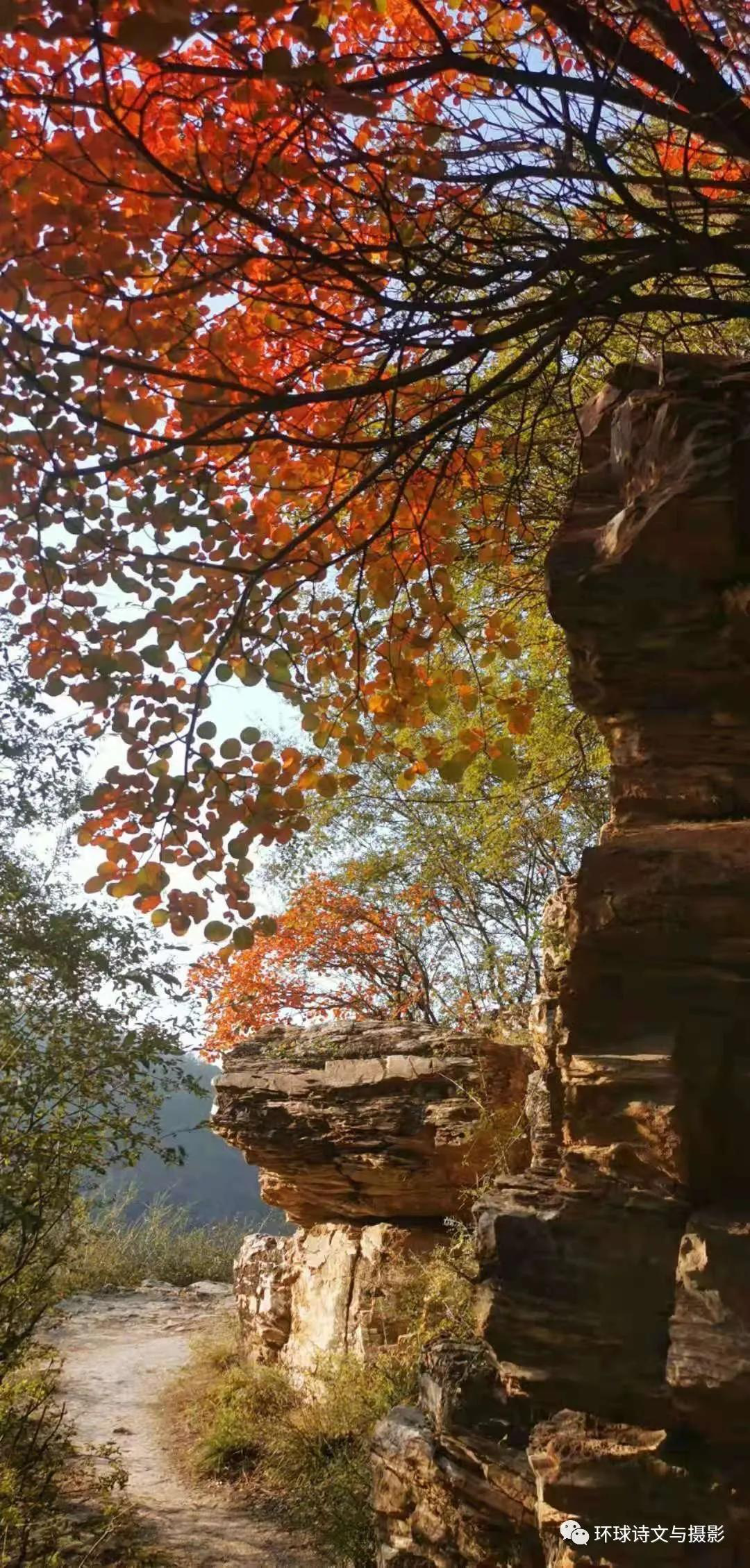 1614238245682815.png 圖片27.png