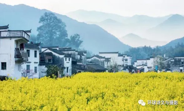 1617776826174933.jpg 2.jpg