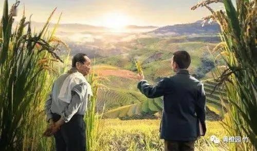 1633679442131459.jpg 33.jpg