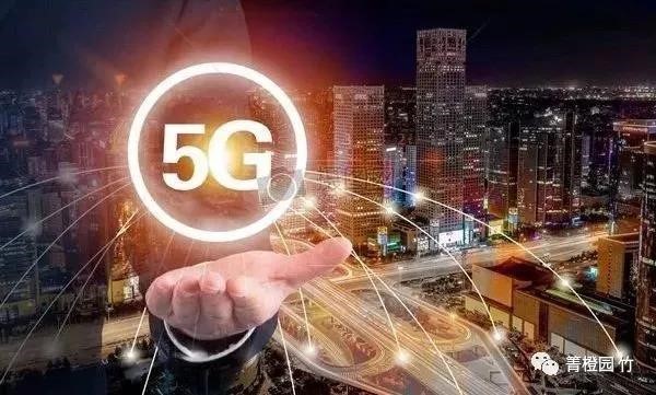 1633679474180341.jpg 44.jpg