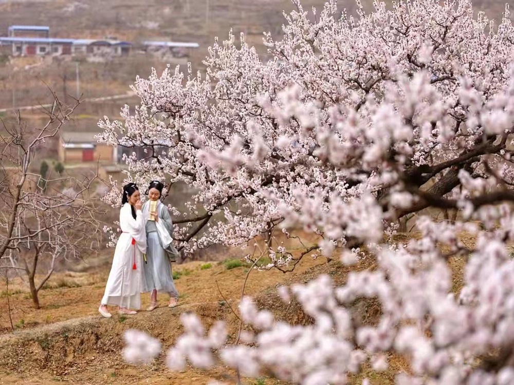 1649642276920593.jpg 3333.jpg