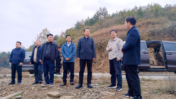 陜西科技控股集團有限責任公司黨委副書記、總經理周吉峰一行赴紫陽縣蒿坪鎮調研鄉村振興示范鎮建設工作并看望慰問掛職干部